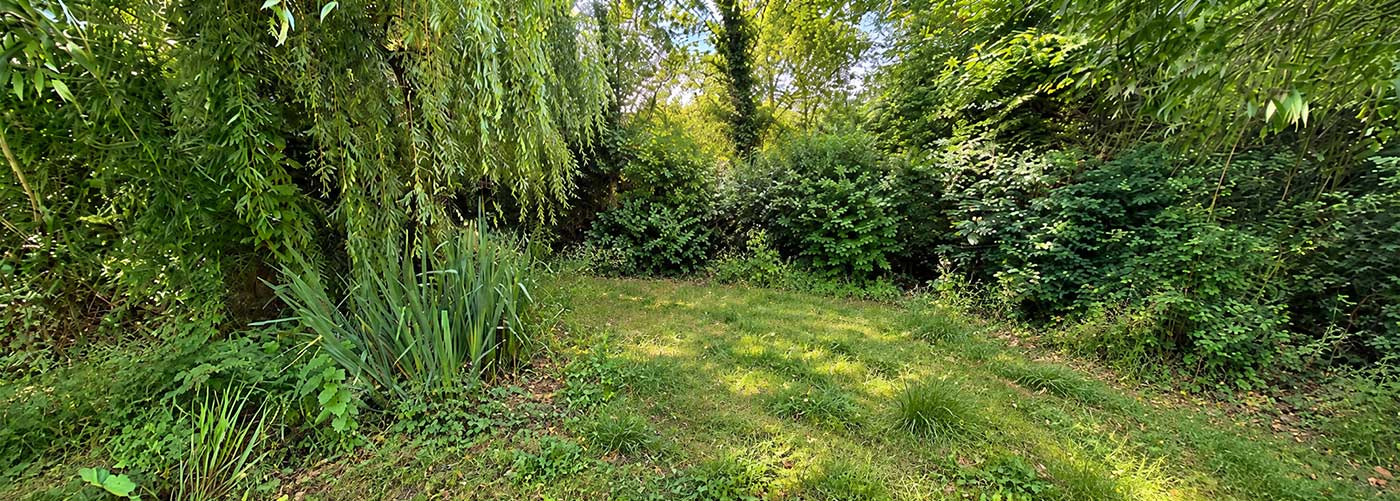 Site before installation