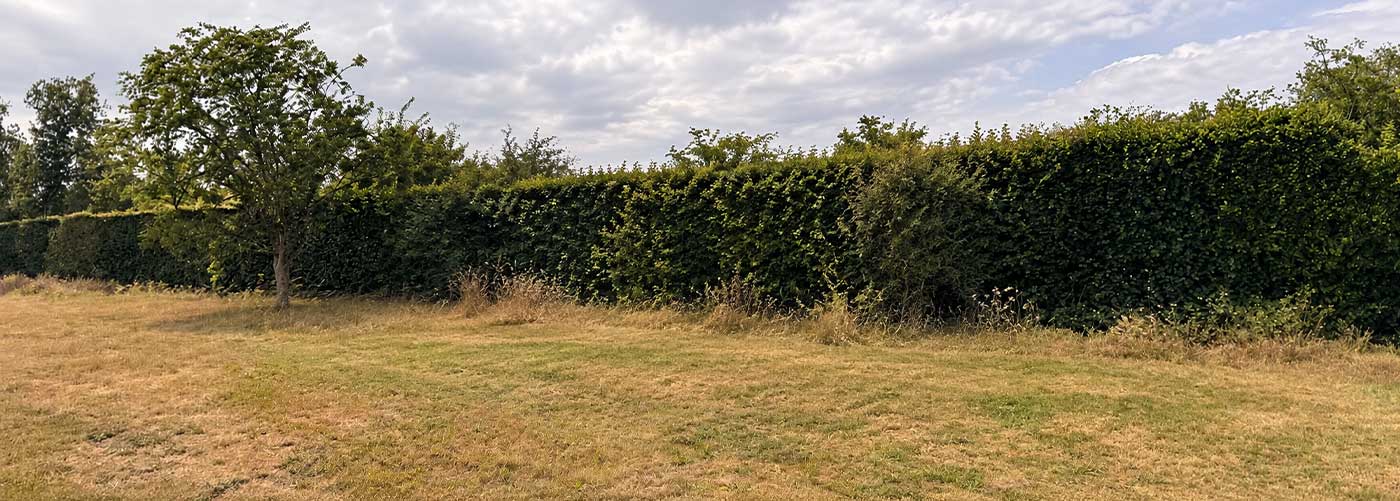 Site before installation