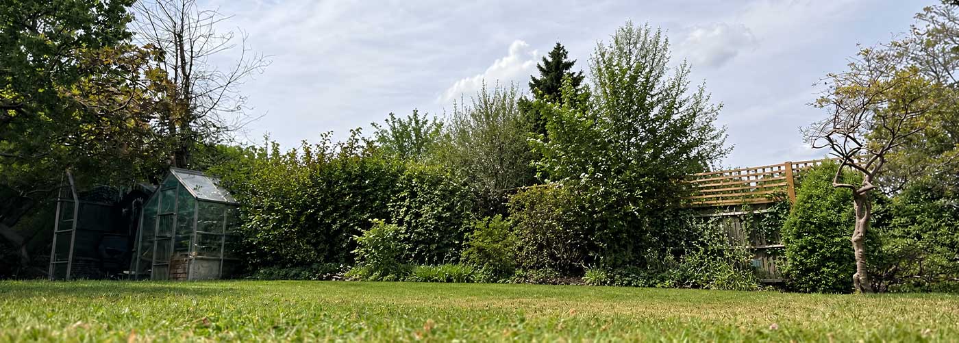 Site before installation